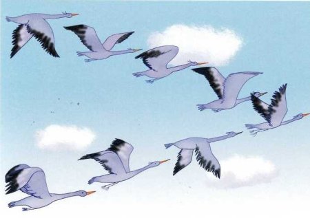 Клин перелетных птиц в небе Нищева