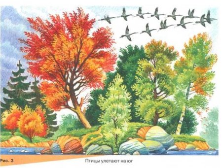 Птицы осенью для дошкольников