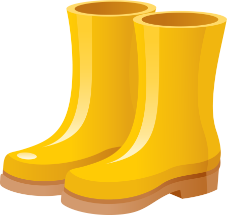 Сапоги на белом фоне