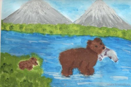 Рисуем медведя с детьми