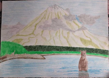 Камчатка рисунок
