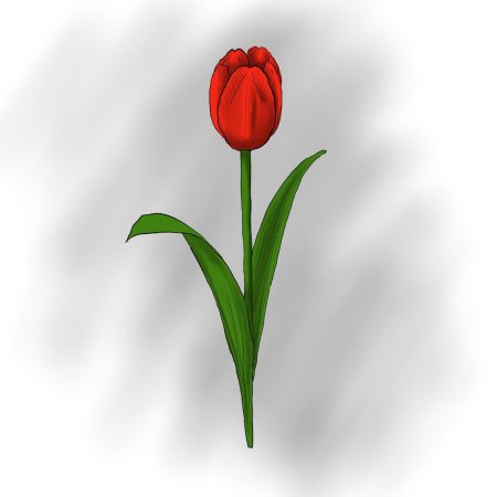 Тюльпан картинка для детей