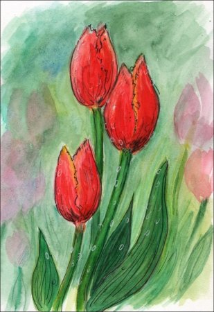 Тюльпаны рисунок