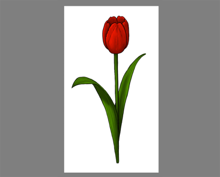 Тюльпан детский