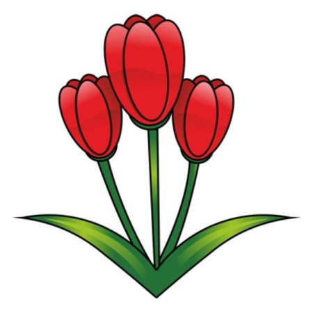 Тюльпан рисунок для детей