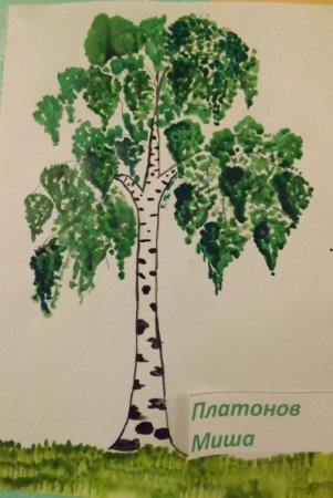 Рисование береза в подготовительной группе