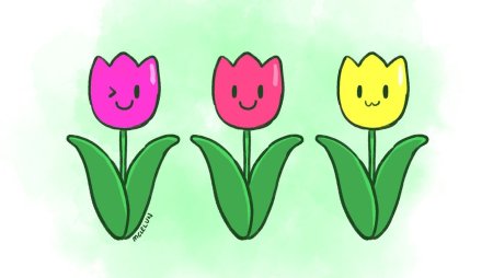 Тюльпан детский