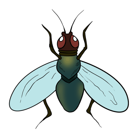 Муха рисунок