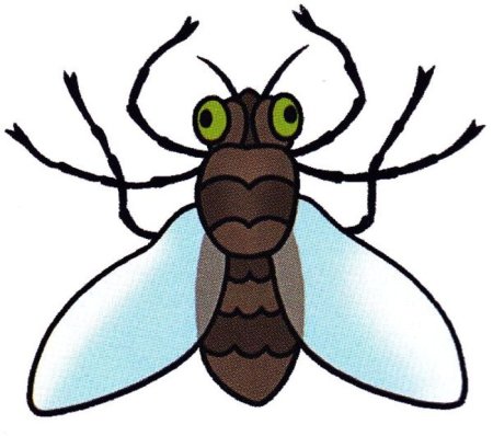 Муха рисунок