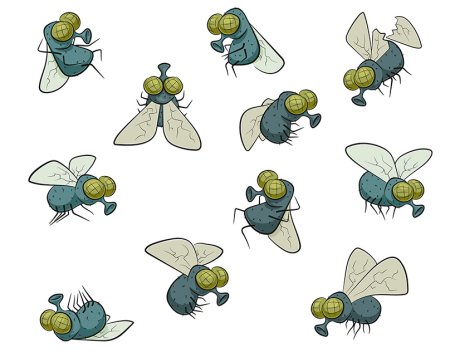 Муха картинка для детей