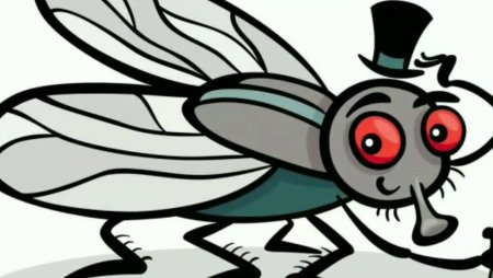 Муха для детей