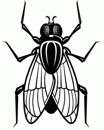 Муха для детей