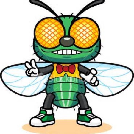 Насекомые Муха для детей