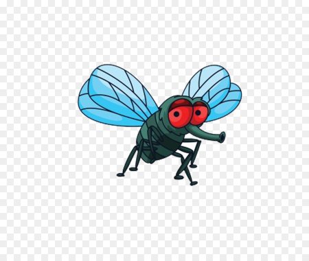 Муха раскраска для детей