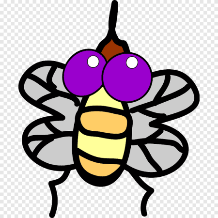 Муха рисунок