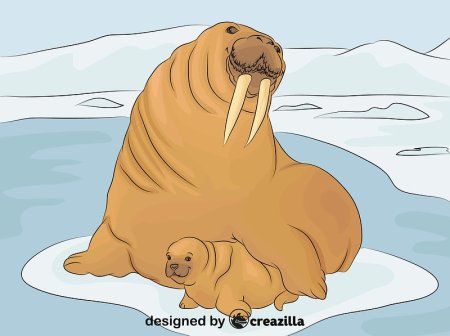 Морж мультфильм