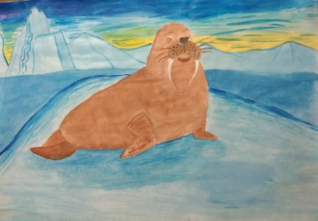 Рисование моржа в подготовительной группе