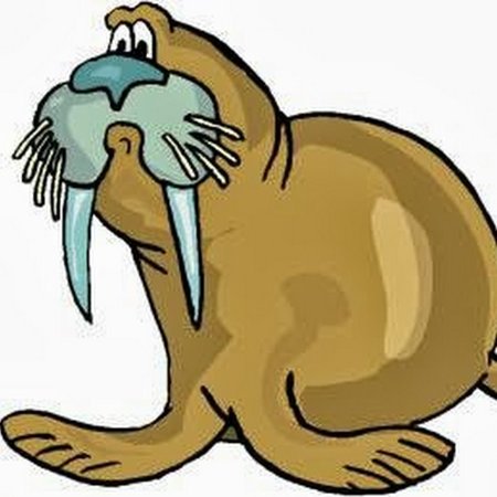 Морж для детей на прозрачном фоне