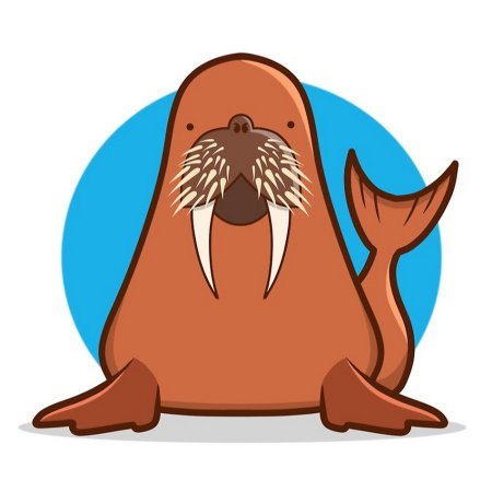 Сциталис морж