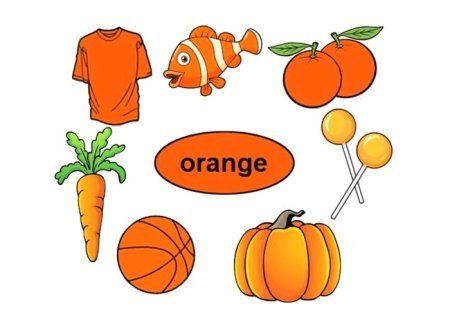 Предметы оранжевого цвета