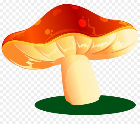 Шляпки грибов мультяшные
