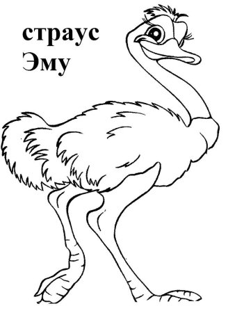 Рисуем страуса с детьми
