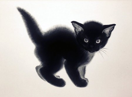 Рисовать черного кота