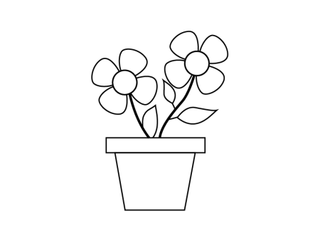 Фиалка узамбарская рисунок