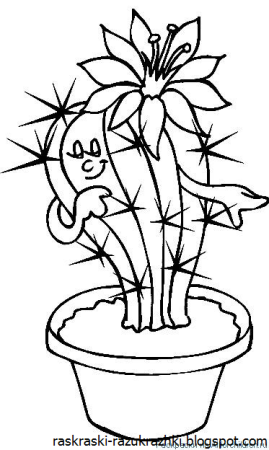 Раскраска комнатные растения для детей