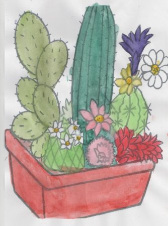 Комнатные цветы для детей