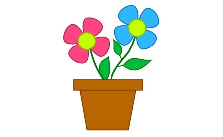 Рисование комнатные растения подготовительная группа