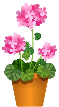 Раскраска комнатный цветок в горшке