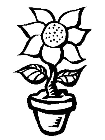 Раскраска комнатные растения в горшках