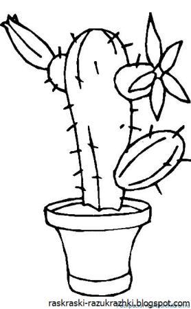 Алоэ раскраска