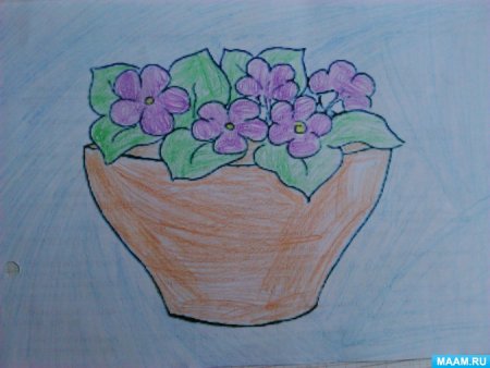 Комнатные растения рисунки для детей