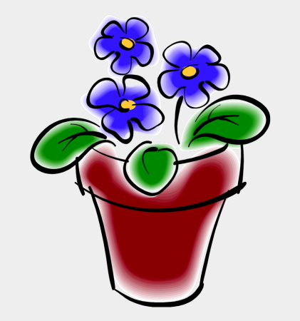 Раскраска комнатные растения для детей