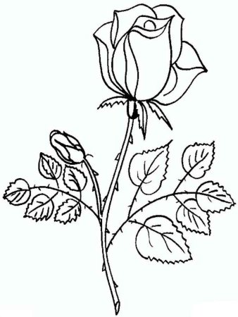 Детский рисунок цветок роза (52 фото)