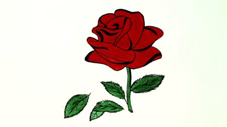 Роза раскраска для детей