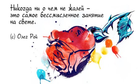 Афоризмы иллюстрации бесплатно