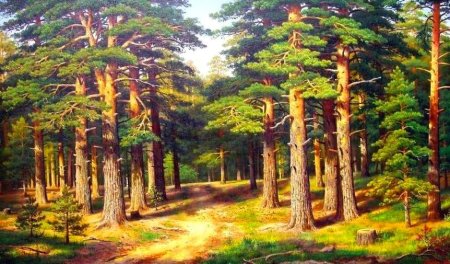 Художник Владимир Иродионович Бебия