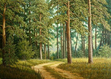 Шишкин Сестрорецкий Бор 1886