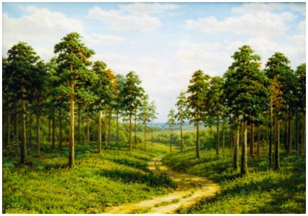 Картины Панасенко Сергей Петрович