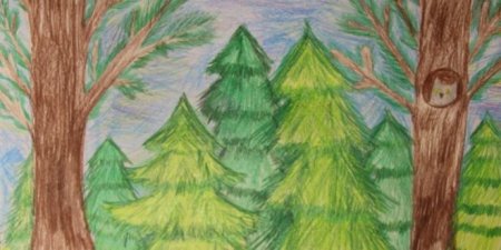 Красивые детские рисунки лес карандашами