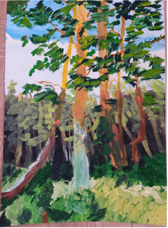 Город Сосновый Бор рисунок