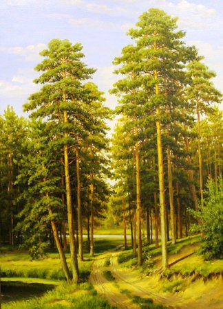 Бор рисунок