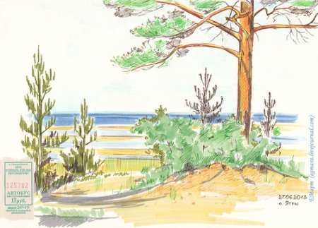 Сосновый Бор Ленинградская область рисунок