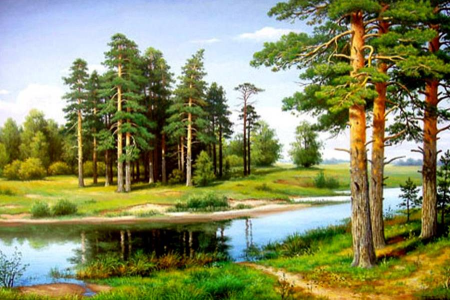 Владимир Бебия Сосновый Бор