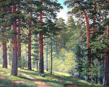 Шишкин картины в Сосновом Бору лето