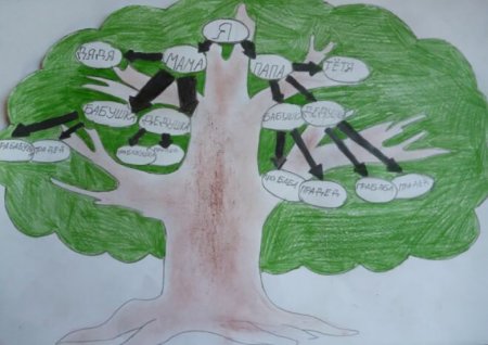 Нарисовать дерево семьи