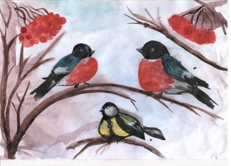 Рисование зимующие птицы